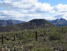 photo thumbnail #12