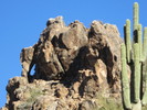 photo thumbnail #13