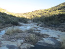 photo thumbnail #10