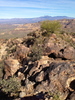 photo thumbnail #9