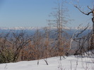 photo thumbnail #11