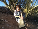 photo thumbnail #2