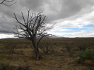 photo thumbnail #2