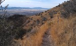 photo thumbnail #8