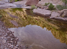 photo thumbnail #11