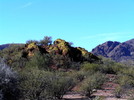 photo thumbnail #3