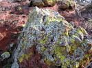 photo thumbnail #6