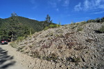 photo thumbnail #8