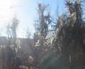 photo thumbnail #7
