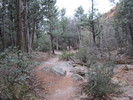 photo thumbnail #7