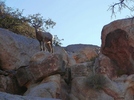 photo thumbnail #4