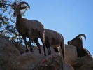 photo thumbnail #7