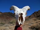 photo thumbnail #11