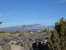 photo thumbnail #3