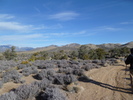 photo thumbnail #4