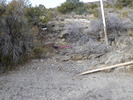 photo thumbnail #7