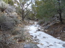 photo thumbnail #8