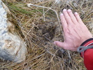 photo thumbnail #9