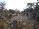 photo thumbnail #12