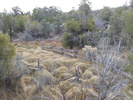 photo thumbnail #13