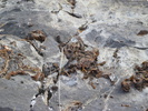 photo thumbnail #14