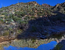 photo thumbnail #7