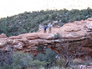 photo thumbnail #5