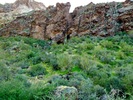photo thumbnail #14