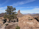 photo thumbnail #14