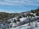photo thumbnail #11