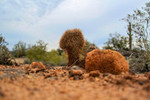 photo thumbnail #3