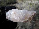 photo thumbnail #2
