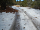 photo thumbnail #10