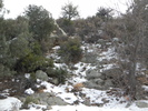 photo thumbnail #14