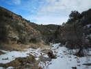 photo thumbnail #15