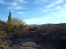 photo thumbnail #4