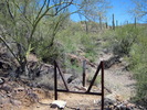 photo thumbnail #7