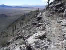 photo thumbnail #4