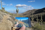 photo thumbnail #2
