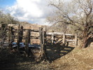photo thumbnail #11