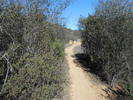 photo thumbnail #6