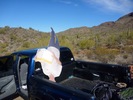 photo thumbnail #14
