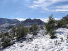 photo thumbnail #13
