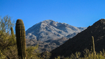 photo thumbnail #4