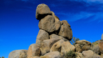 photo thumbnail #11