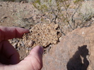 photo thumbnail #10