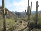 photo thumbnail #5