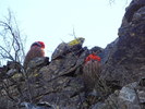 photo thumbnail #2