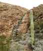 photo thumbnail #10
