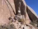 photo thumbnail #3
